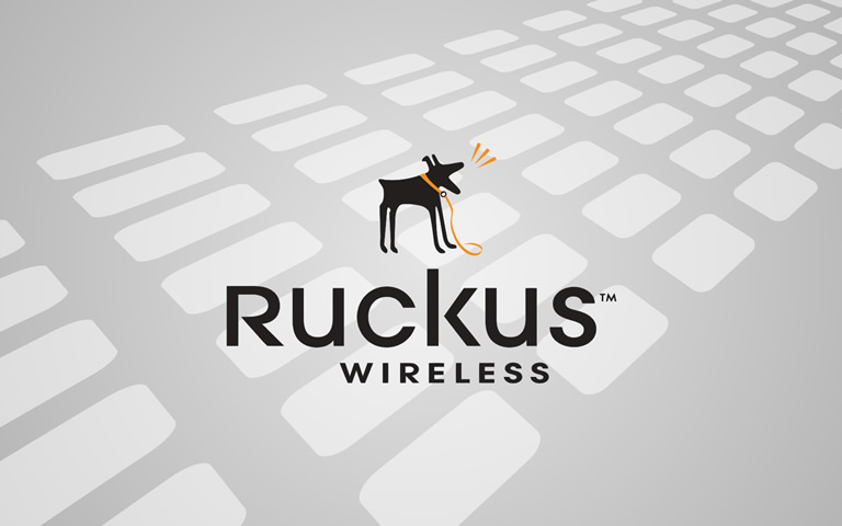 Ruckus Wirless Business Partner